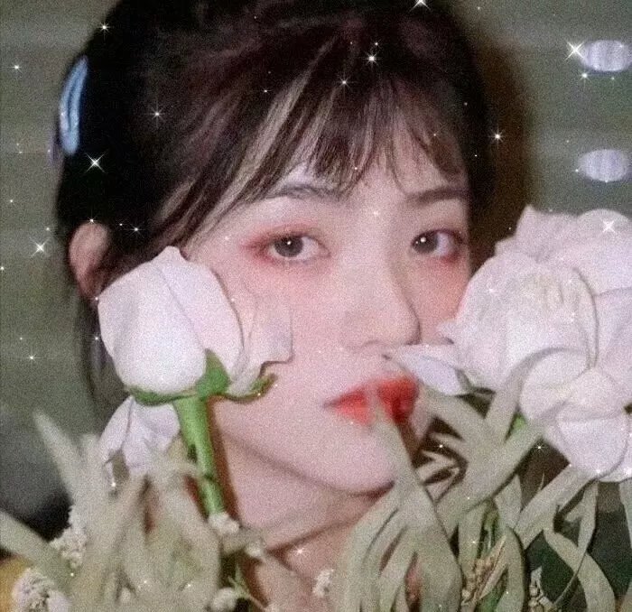 风尘舞蝶